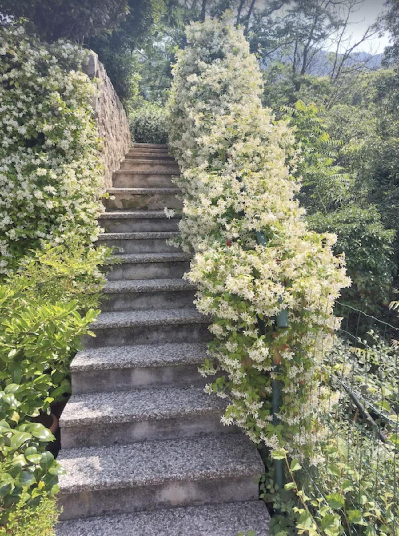 Cottage Lavanda E Rosmarino Lavis Dış mekan fotoğraf