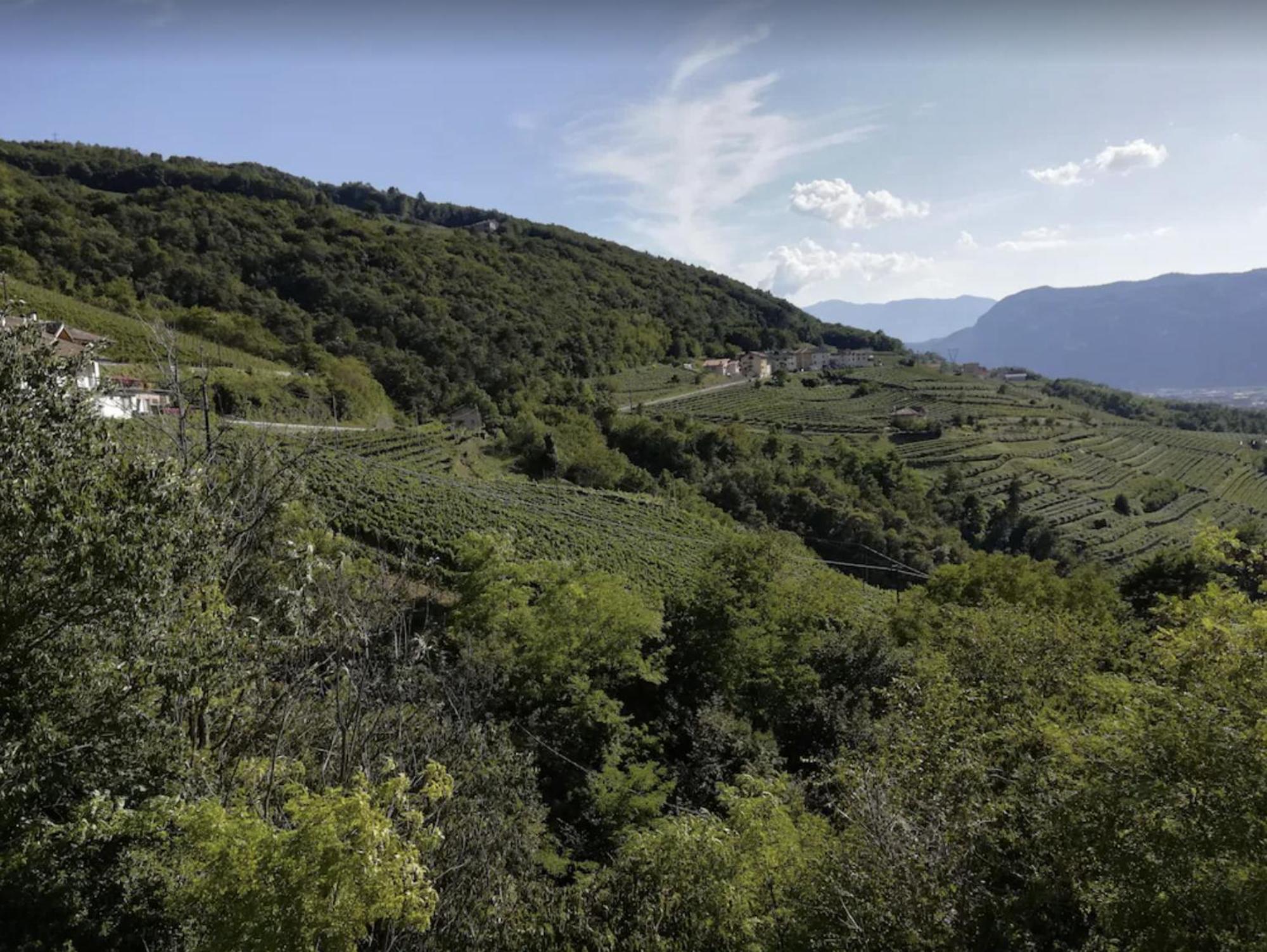 Cottage Lavanda E Rosmarino Lavis Dış mekan fotoğraf
